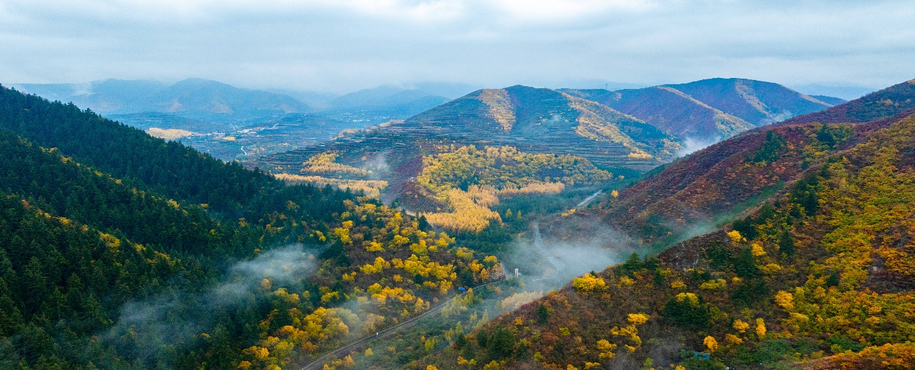 陜西延長石油集團橫山魏墻煤業有限公司 黃蒿峁風井乏風余熱系統設備安裝工程開工儀式隆重舉行 陜西延長石油集團橫山魏墻煤業有限公司 黃蒿峁風井乏風余熱系統設備安裝工程開工儀式隆重舉行